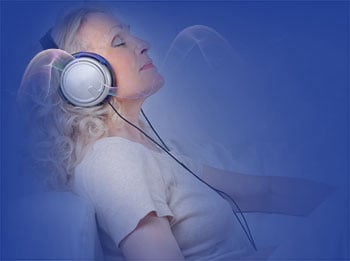 The-Brain-Song